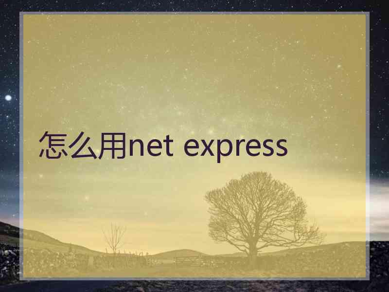 怎么用net express