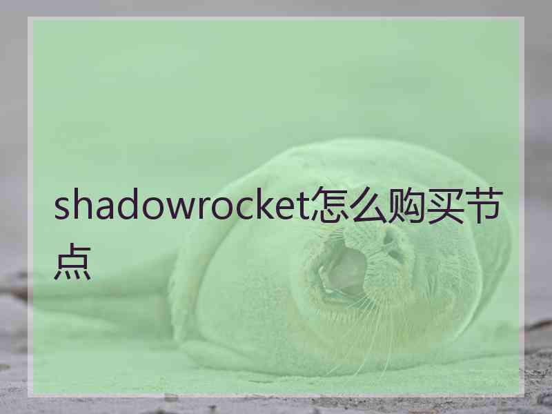 shadowrocket怎么购买节点