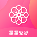 可以看ins的app