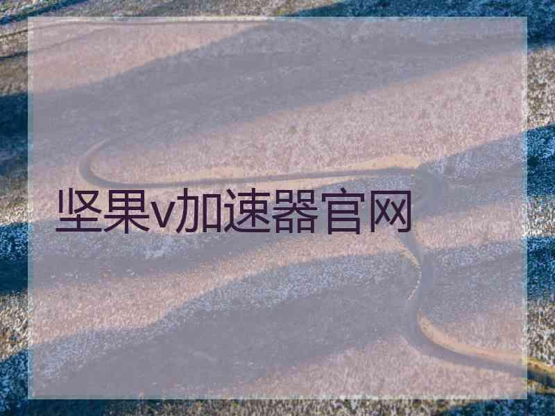 坚果v加速器官网