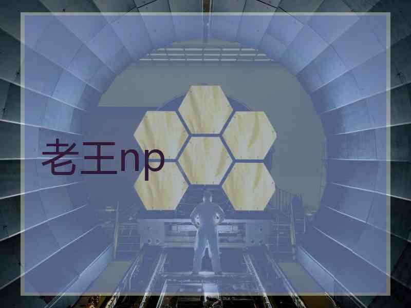 老王np