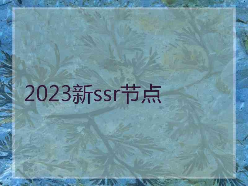 2023新ssr节点