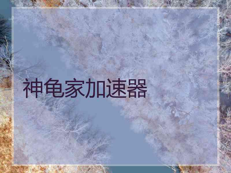 神龟家加速器