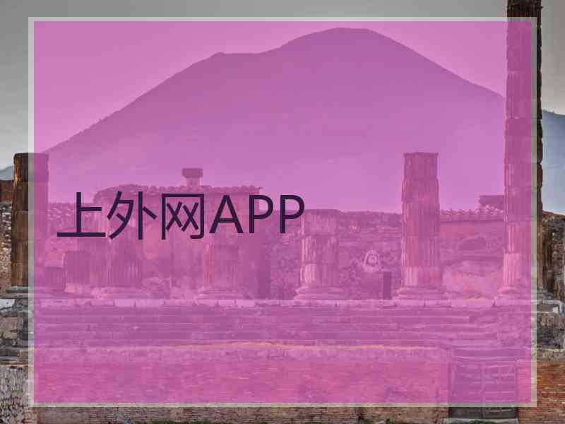 上外网APP