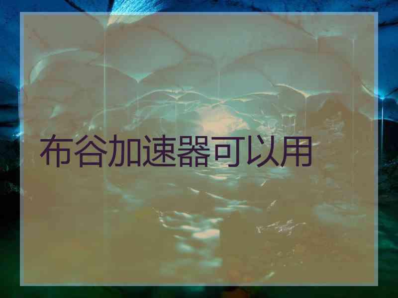 布谷加速器可以用