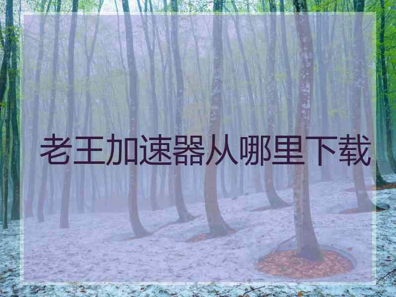 老王加速器从哪里下载