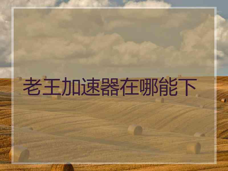 老王加速器在哪能下