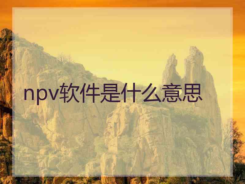 npv软件是什么意思
