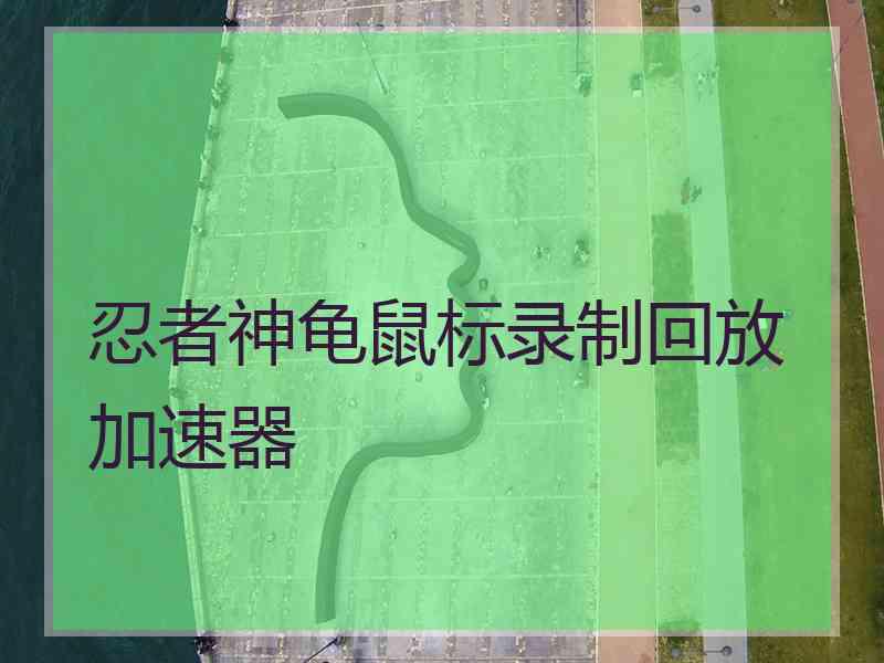 忍者神龟鼠标录制回放加速器