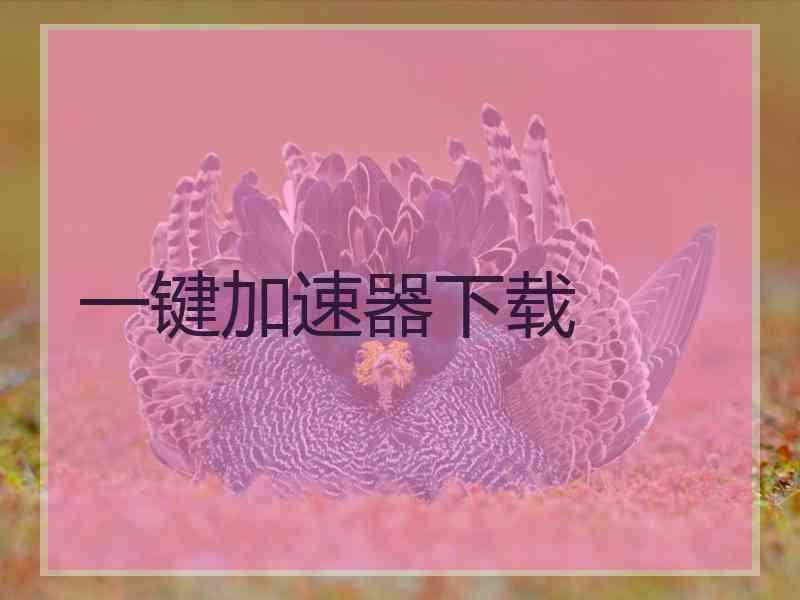 一键加速器下载