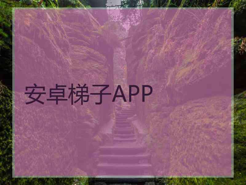 安卓梯子APP