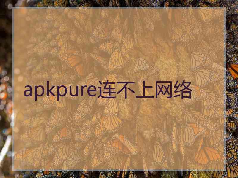 apkpure连不上网络