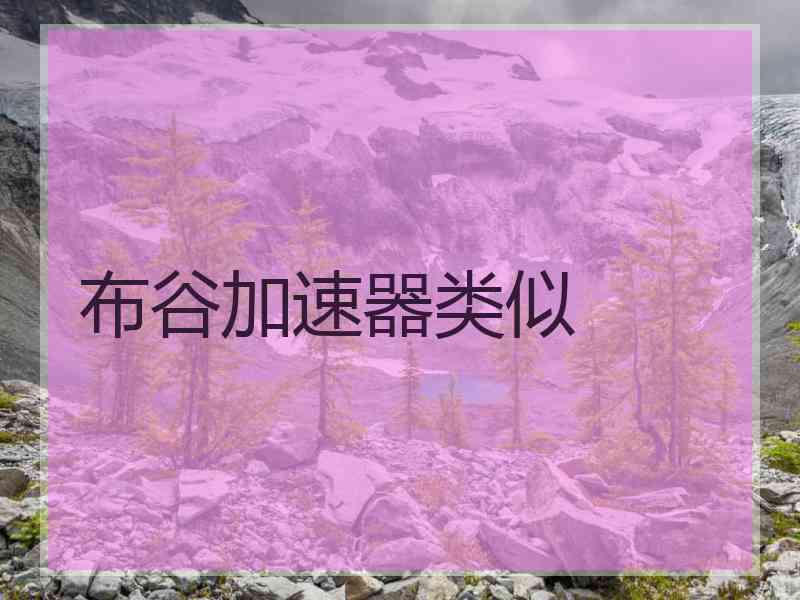 布谷加速器类似