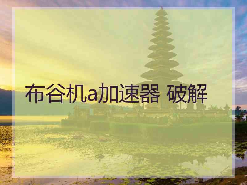 布谷机a加速器 破解
