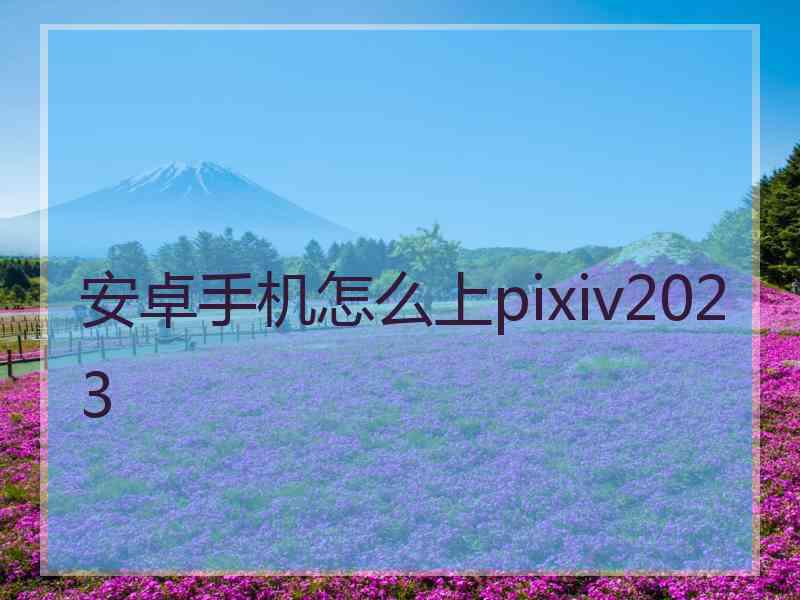 安卓手机怎么上pixiv2023