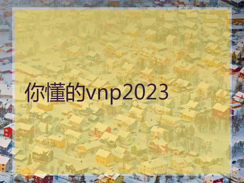 你懂的vnp2023