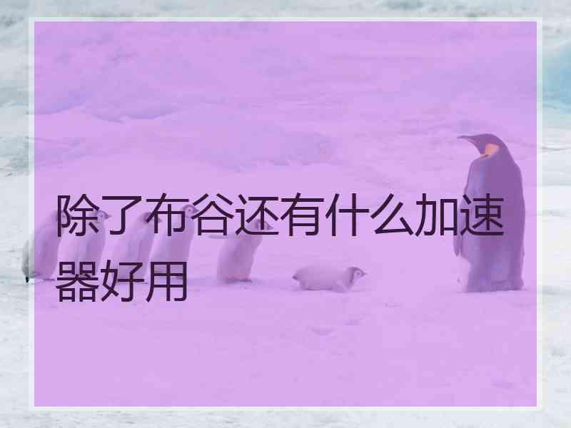 除了布谷还有什么加速器好用