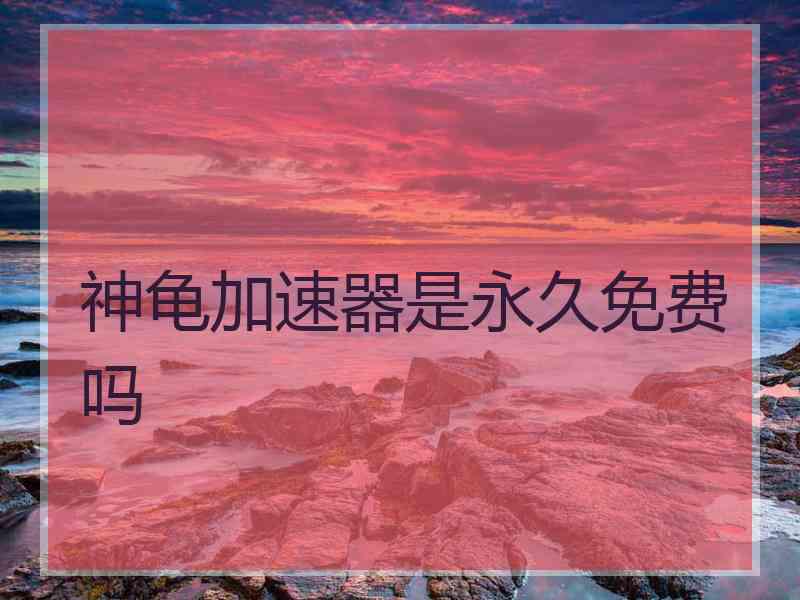 神龟加速器是永久免费吗