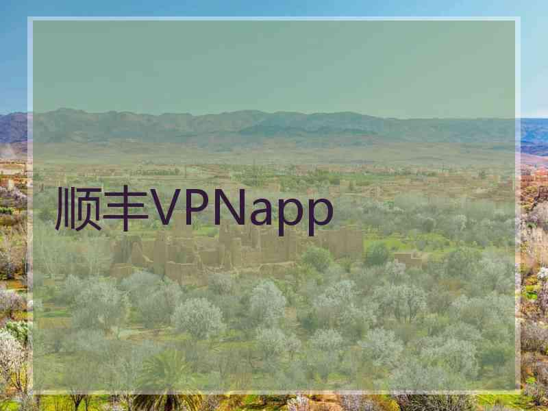 顺丰VPNapp