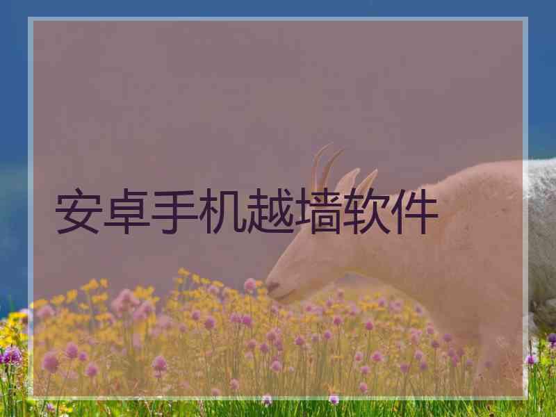 安卓手机越墙软件
