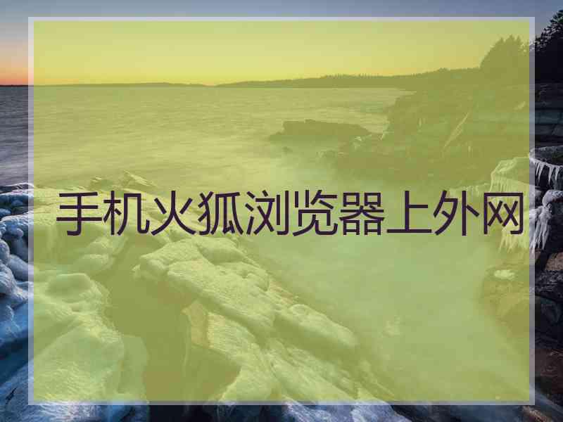 手机火狐浏览器上外网