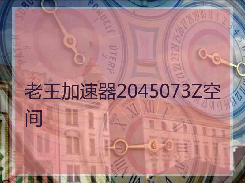 老王加速器2045073Z空间