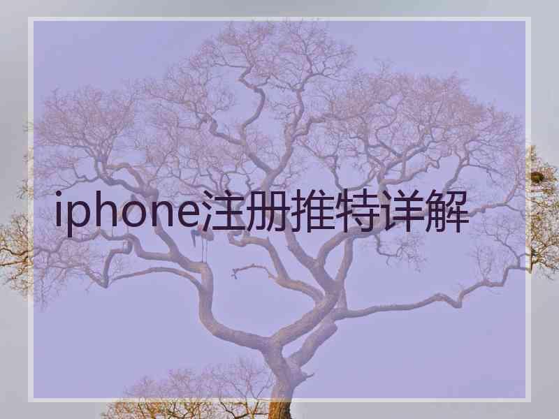 iphone注册推特详解