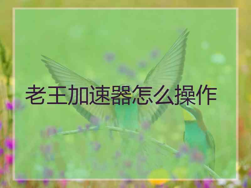 老王加速器怎么操作