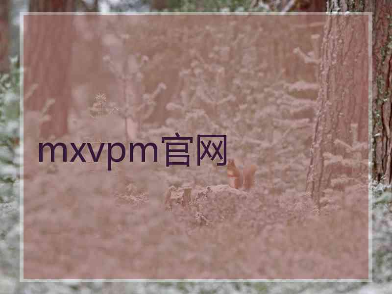 mxvpm官网