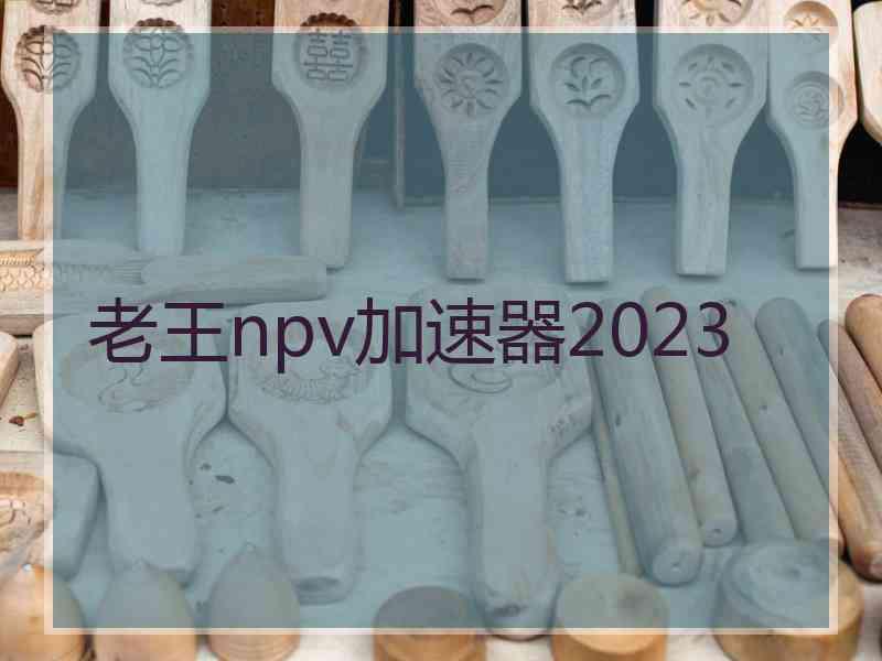 老王npv加速器2023