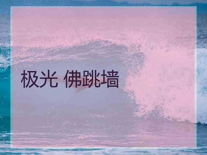 极光 佛跳墙
