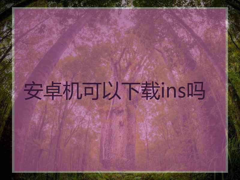 安卓机可以下载ins吗