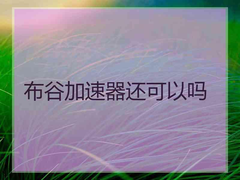 布谷加速器还可以吗