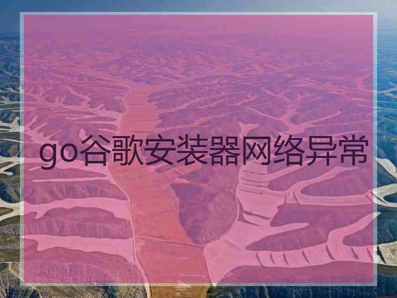 go谷歌安装器网络异常