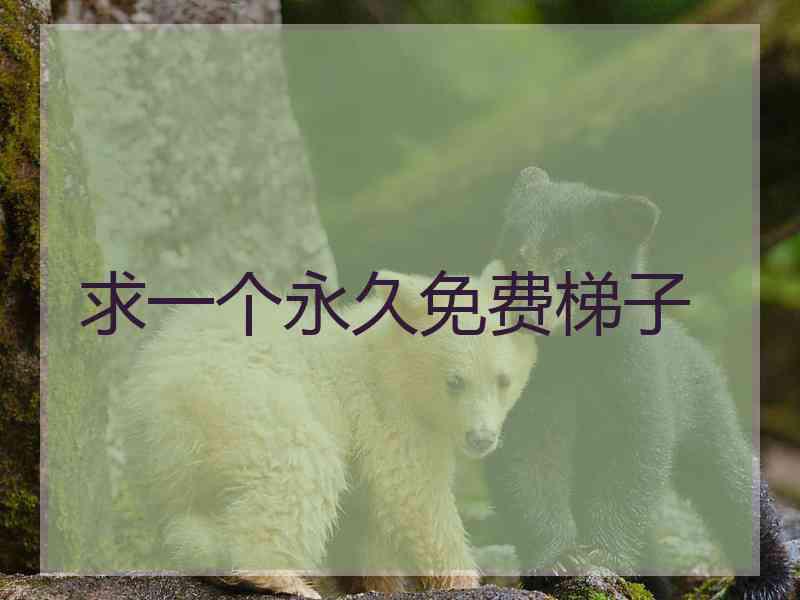求一个永久免费梯子