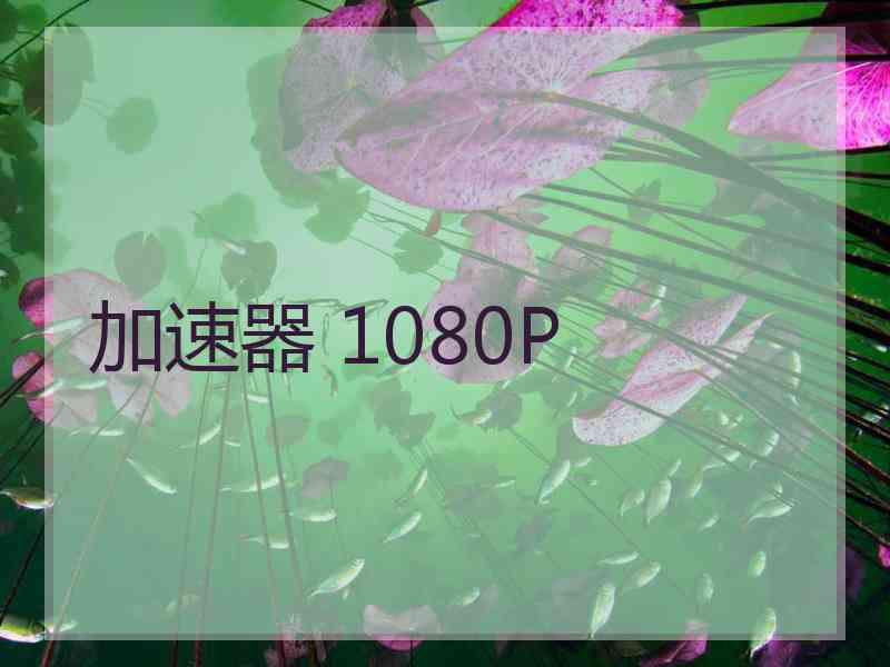 加速器 1080P