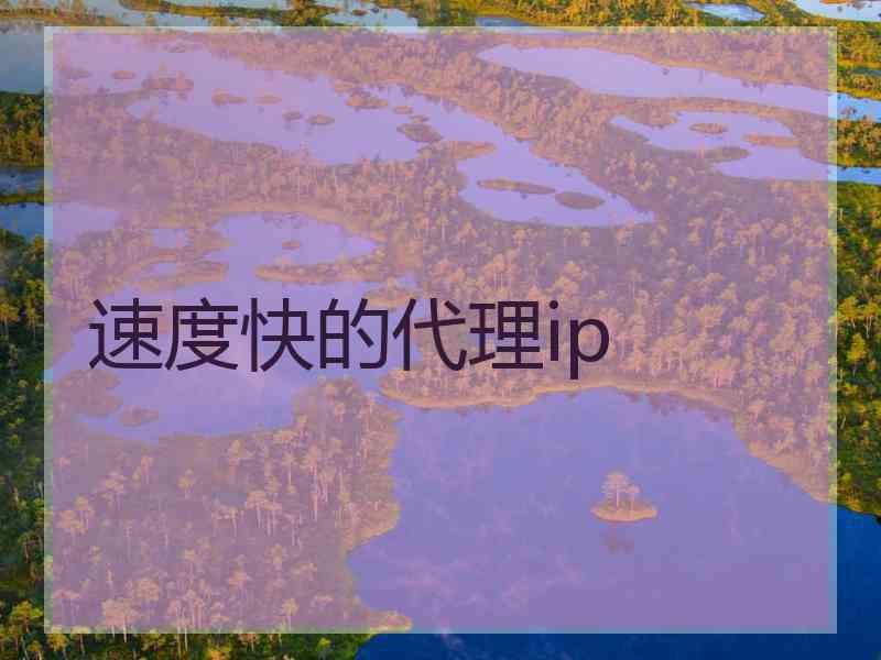 速度快的代理ip