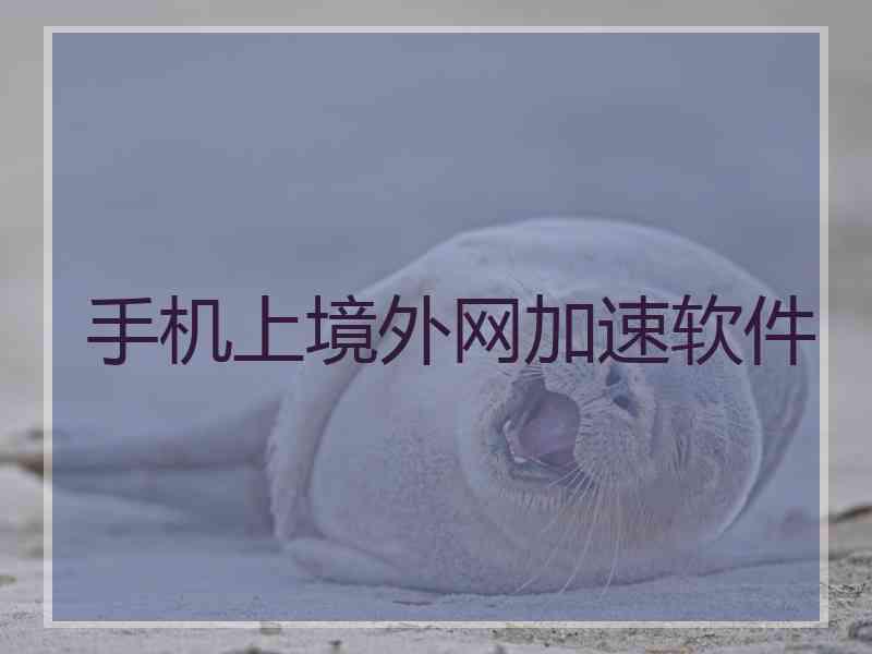 手机上境外网加速软件