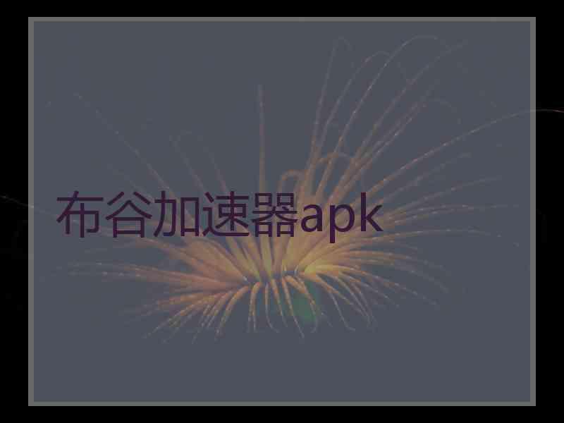 布谷加速器apk