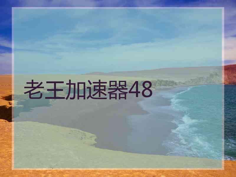 老王加速器48