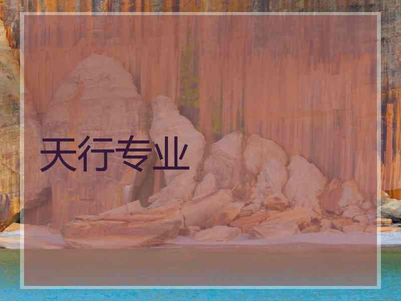 天行专业