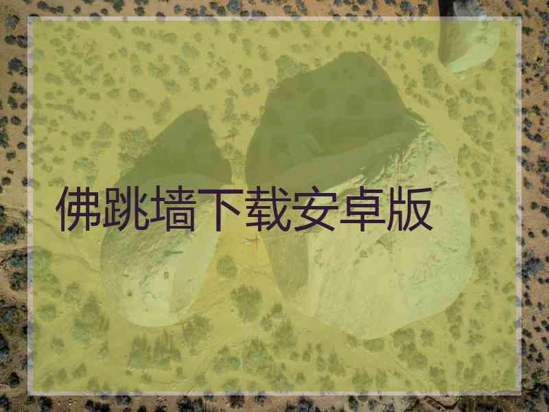 佛跳墙下载安卓版