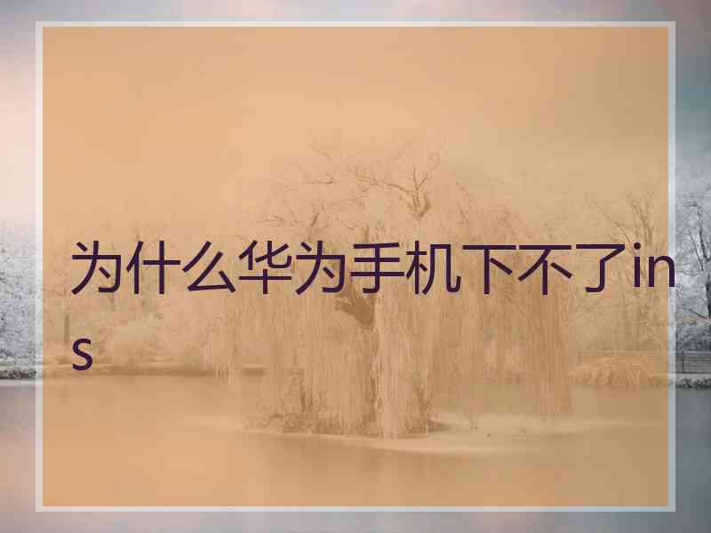 为什么华为手机下不了ins