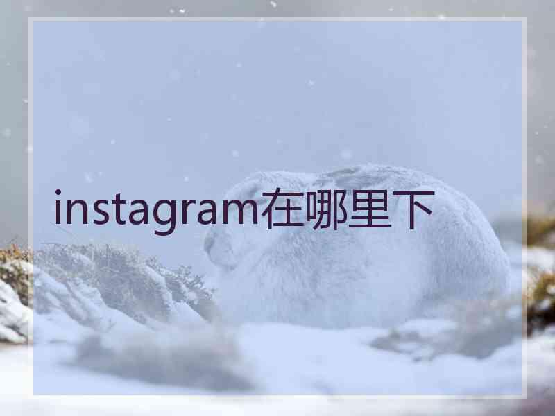 instagram在哪里下