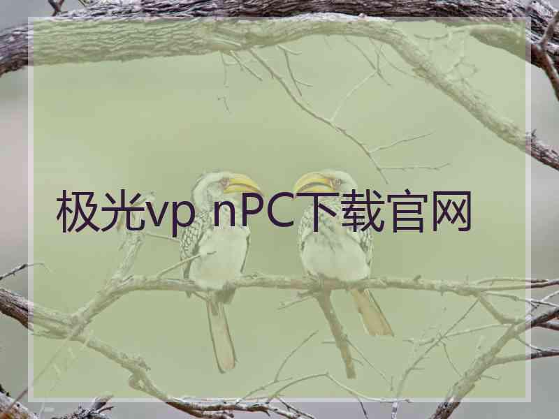 极光vp nPC下载官网