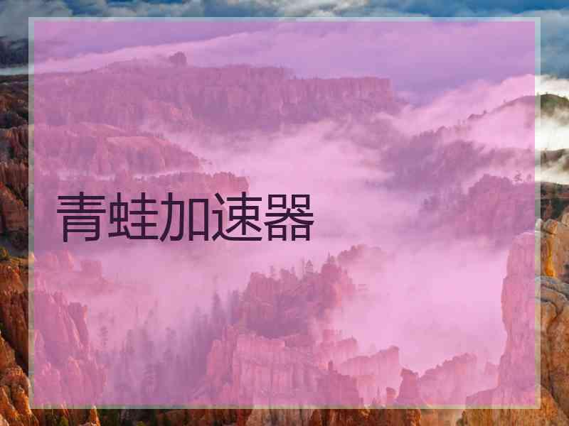 青蛙加速器