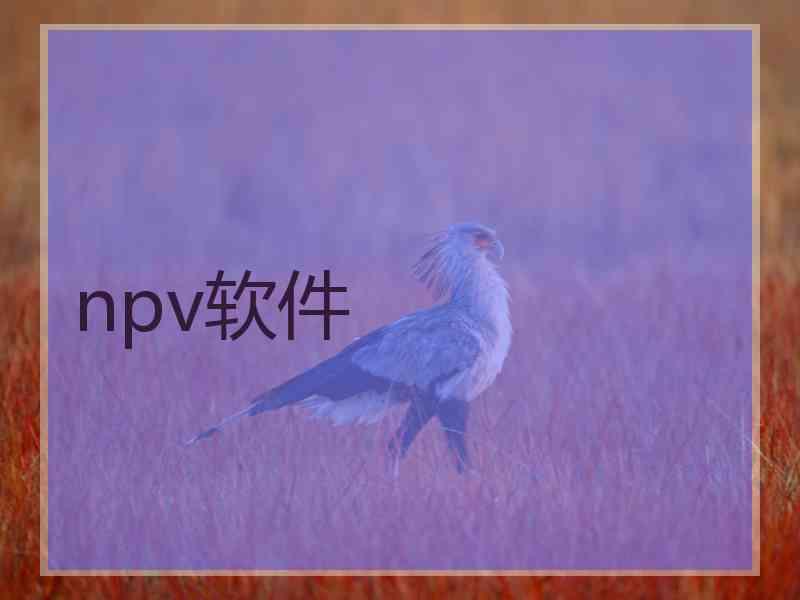 npv软件