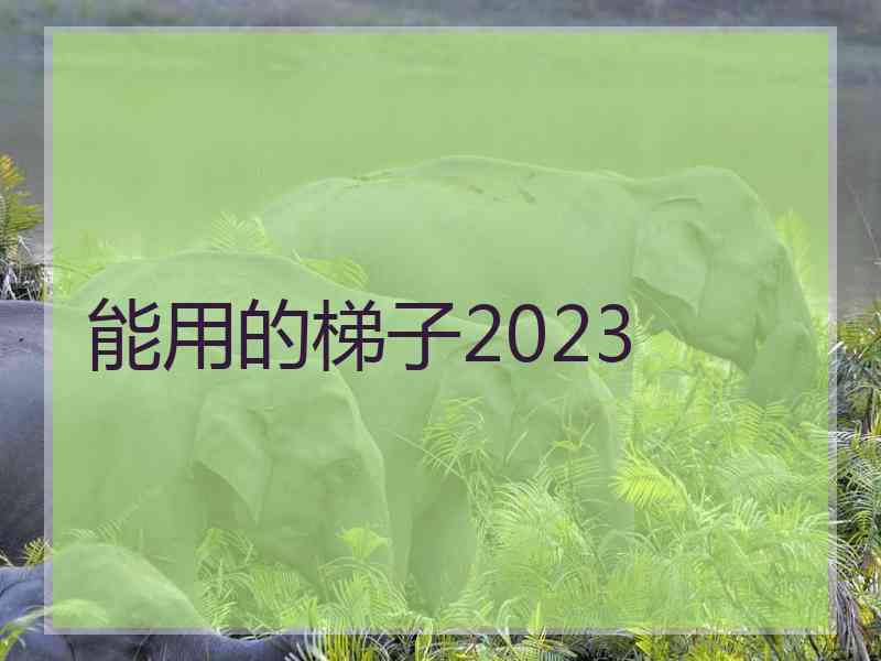 能用的梯子2023