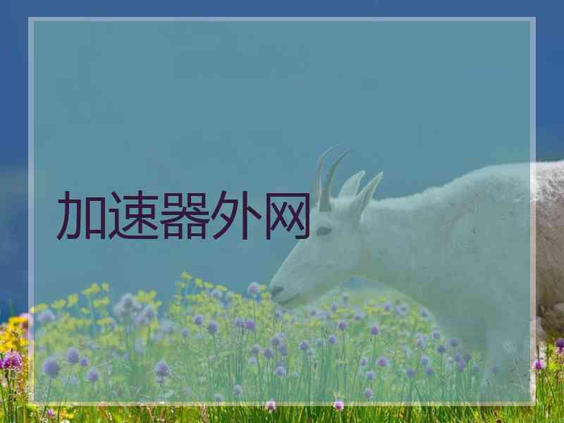 加速器外网