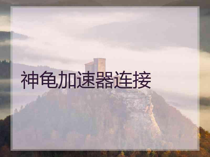 神龟加速器连接